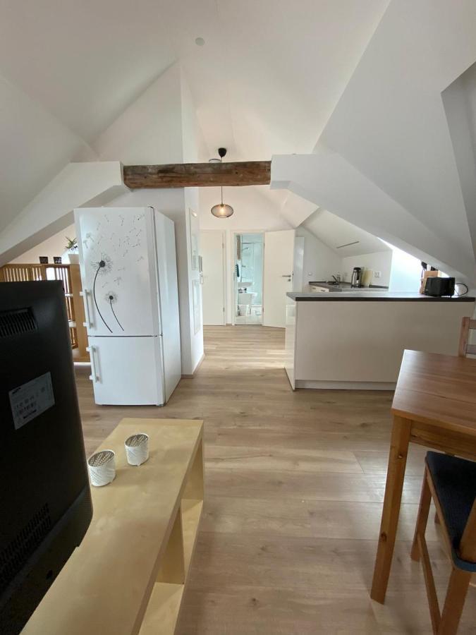 Helle 2 Zi. Wohnung Naehe Flughafen Muenchen Haimhausen  Ngoại thất bức ảnh